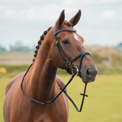 Afbeelding van Horka Hoofdstel Kapitano