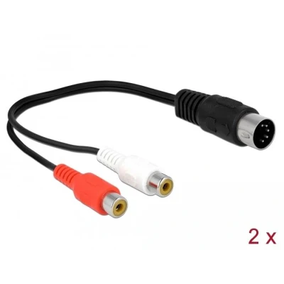 Afbeelding van Delock DIN kabel diode stekker 5 pins naar 2 x cinch aansluiting 20 cm