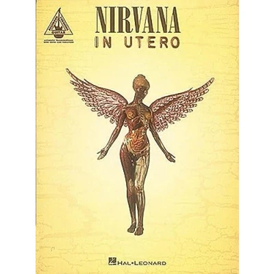 Afbeelding van Nirvana in utero guitare