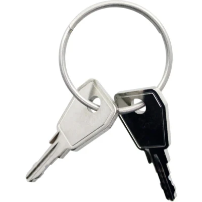 Afbeelding van Yepp sleutel Nexxt P8 2 stuks