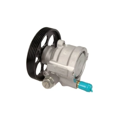 Afbeelding van Servo pomp MAXGEAR 48 0138