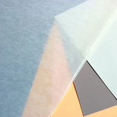 Afbeelding van Clairefontaine 93476C verpakking (met 20 vellen perkamentpapier 45 g, 73 x 101 cm, 100% recyclebaar, ter bescherming van twee pastelbladeren of als tussenbladen Herbaria) transparant