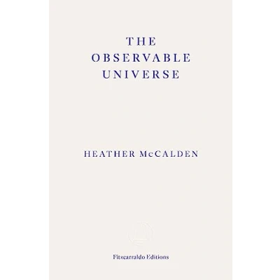 Afbeelding van The Observable Universe