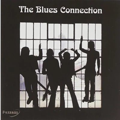 Afbeelding van Various Artists The Blues Connection (CD)
