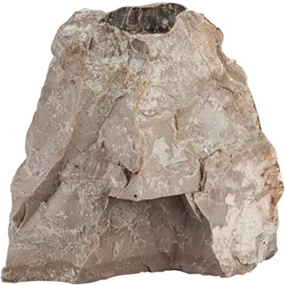 Afbeelding van Sera Rock Asian Pagoda S/M 0,6 1,4KG