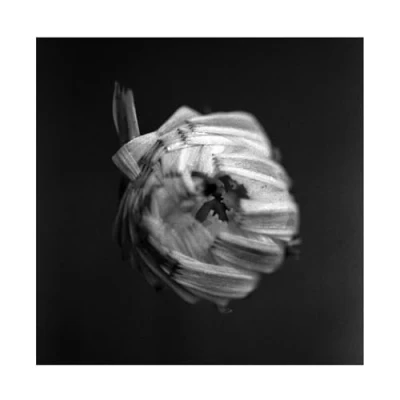 Afbeelding van A Swarm Of The Sun An Empire (CD)