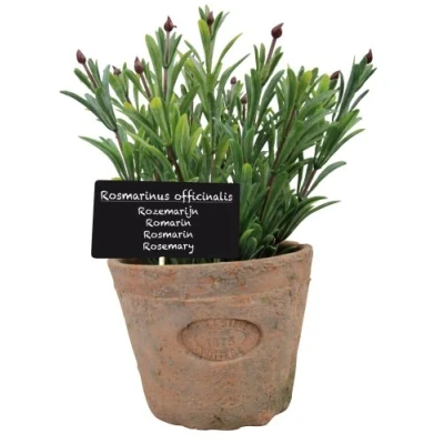 Afbeelding van Esschert Design Kunstplant/kruiden rosemarijn in oude terracotta pot 18 cm kruiden Kunstplanten