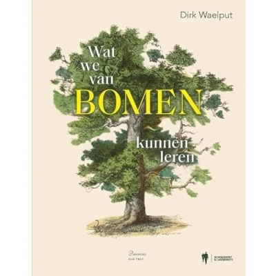 Afbeelding van Wat we van bomen kunnen leren (Paperback)