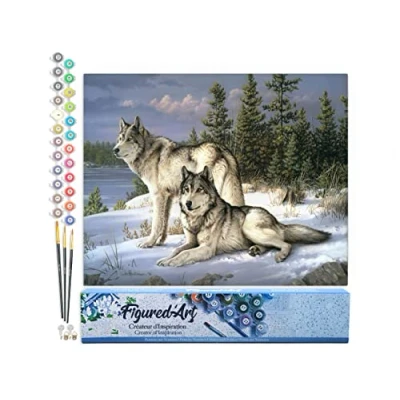 Afbeelding van Figured&#039;Art Schilderen op Nummer Volwassenen canvas Wolfspaar Handwerk acrylverf Kit DIY Compleet 40x50cm zonder frame