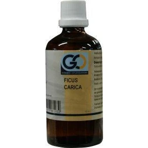 Afbeelding van Go Ficus Carica Bio, 100 ml