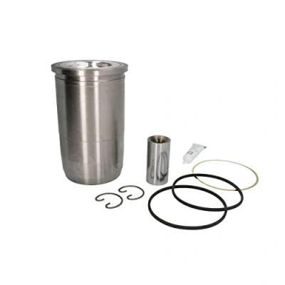 Afbeelding van Kolbenschmidt Cilinderbus/voering 40448963