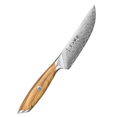 Afbeelding van HEZHEN X01 Steakmes