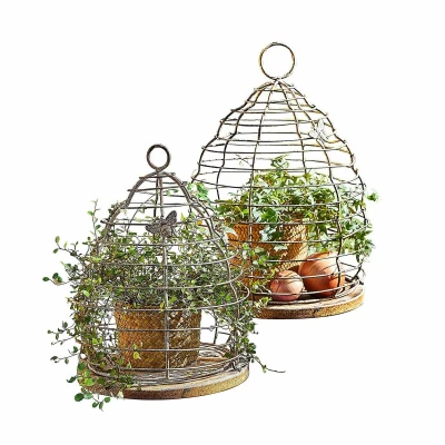 Afbeelding van LOBERON 2 delige set plantensteunen Sixel bruin