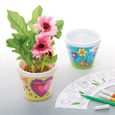 Afbeelding van Baker Ross Blanco bloempotten (2 stuks) voor kinderen om te versieren en vorm geven.