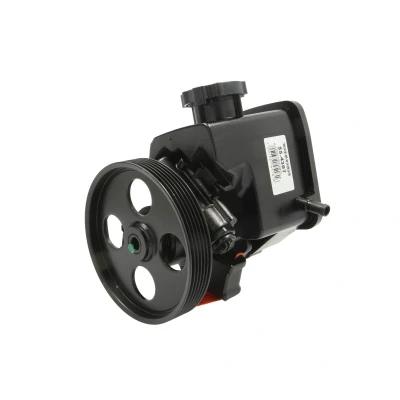 Afbeelding van Lauber Servopomp 55.4307