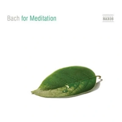 Afbeelding van Various Artists Bach For Meditation (CD)