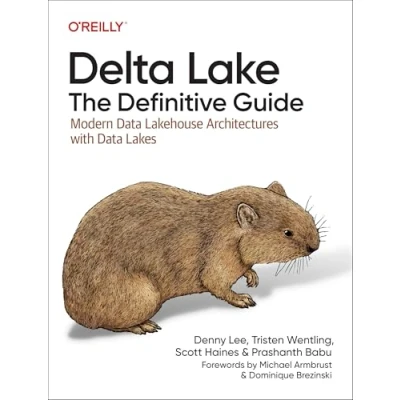 Afbeelding van Delta Lake: The Definitive Guide: Modern Data Lakehouse Architectures with Lakes