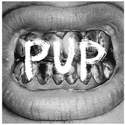 Afbeelding van Pup (LP)
