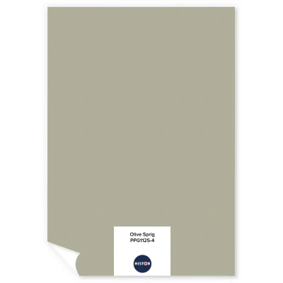 Afbeelding van Histor Colortester Olive Spring