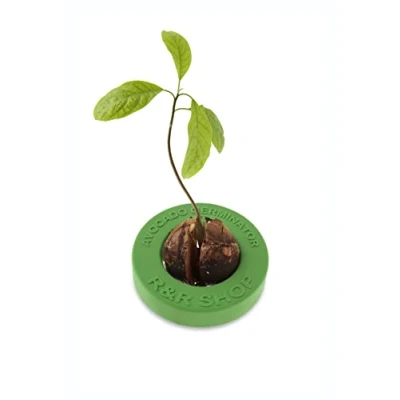Afbeelding van R&amp;R SHOP Avocado Germinator Drijvende pot voor het ontkiemen van avocado&#039;s, zaadgroeikit, maïsplastic (Groente)