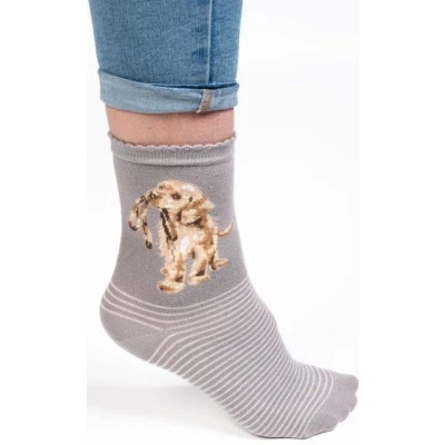 Afbeelding van Wrendale Sokken Hond (Grijs) &#039;Hopeful&#039; Labrador sock