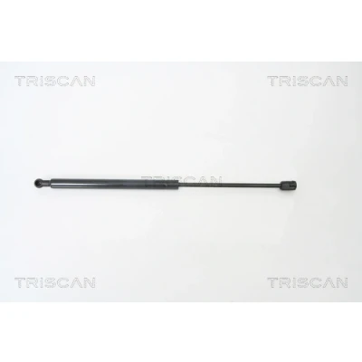 Afbeelding van Gasveer, kofferruimte TRISCAN 8710 29268