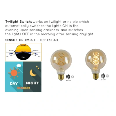 Afbeelding van G95 TWILIGHT SENSOR Filament lamp Buiten Ø 9,5 cm LED E27 1x4W 2200K Amber