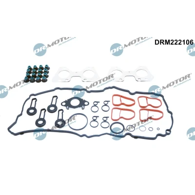 Afbeelding van Dr.Motor Automotive Cilinderkop pakking set/kopset DRM222106