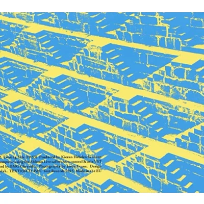 Afbeelding van Four Tet Morning / Evening (CD)