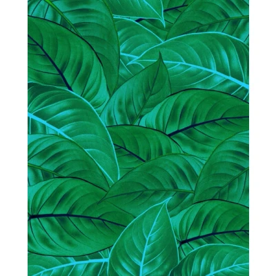 Afbeelding van Komar Vliesbehang JUNGLE LEAVES (1 stuk)