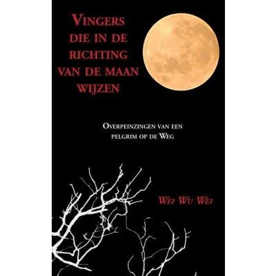 Afbeelding van Vingers die in de richting van maan wijzen