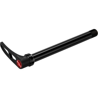Afbeelding van Dt Swiss Rws 10 Plug In Boost Steekas Zilver 15 x 110 mm