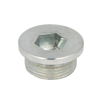 Afbeelding van Elring Olie aftapplug / carterplug 587.180