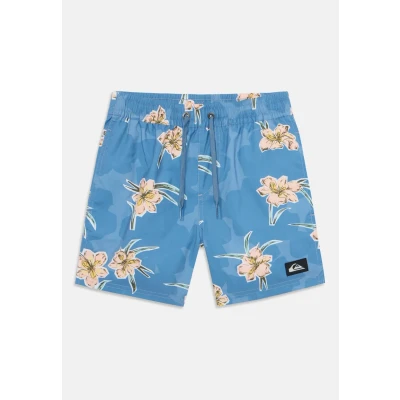 Afbeelding van Quiksilver Everyday Straight Volley Zwemshorts, Heren, Maat: 152, Backyards coronet blue