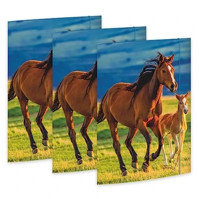 Afbeelding van RNK 45353 3 Tekenmap Vrij Paarden 310 x 440 mm, stuks, DIN A3, met elastieksluiting