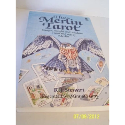 Afbeelding van the Merlin Tarot: Images, Insights and Wisdom from Age of