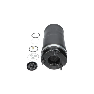 Afbeelding van Kavo Parts Veer SAS 10031