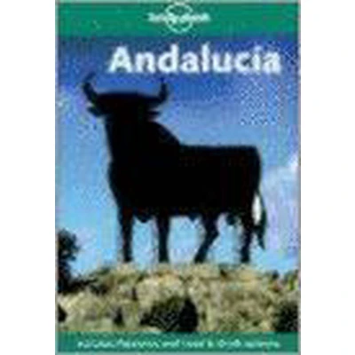Afbeelding van LONELY PLANET ANDULUCIA 2ED
