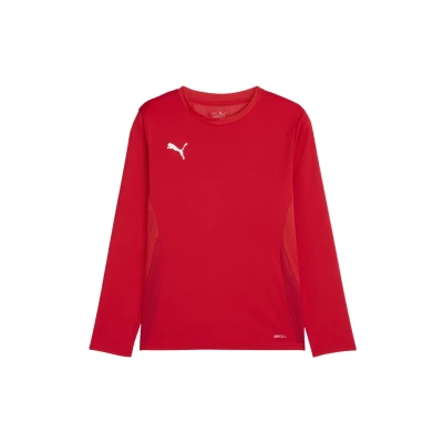 Afbeelding van PUMA teamGOAL LS Jersey Jr