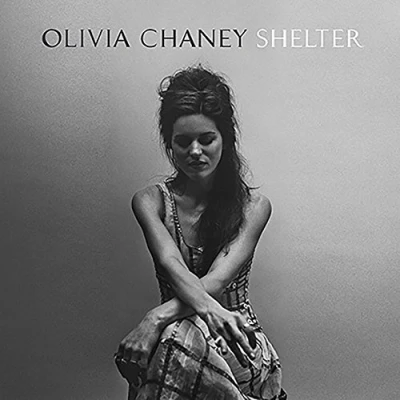 Afbeelding van Shelter (LP)