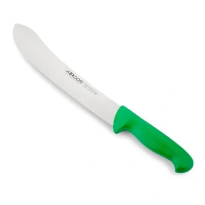Afbeelding van Arcos 292721 Serie 2900 slager Steak Mes Lemmet Nitrum 250 mm (9,84 inch) Handvat Polypropyleen Groen Kleur, 18/8 roestvrij staal