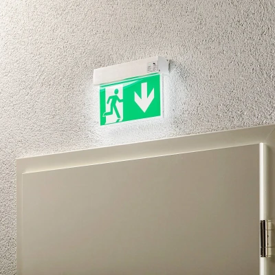 Afbeelding van Arcchio Noodverlichting 1licht Aluminium, plexiglas H: 18.6 cm wit, groen Inclusief lichtbron