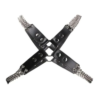 Afbeelding van Chain and Harness