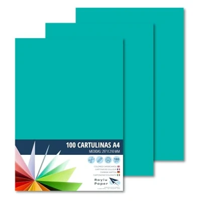 Afbeelding van Raylu Paper® A4 100 stuks groen 180 g, 210 x 297 mm, ideaal voor boekbinders, kantoorwerk, tekenen, knutselwerk, dozen geschikt school. (mintgroen)