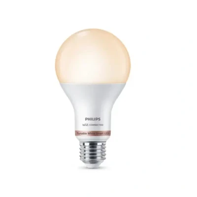 Afbeelding van Philips WiZ Smart (WiFi) LED E27 13W 1521lm 2700K 6500K Mat
