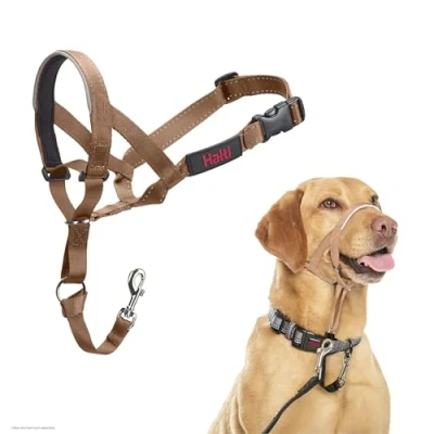 Afbeelding van Company of Animals Halti Halster, om te voorkomen dat je hond aan de riem trekt. Verstelbaar, reflecterend en licht, met gevoerde neusband, Desert Sand, 3