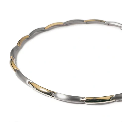Afbeelding van Boccia 0817 03 Ketting titanium zilver en goudkleurig 6 mm 45 cm