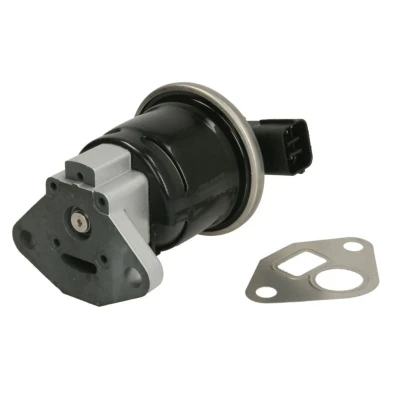 Afbeelding van EGR klep DELPHI EG10519 12B1
