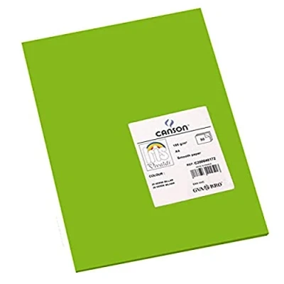 Afbeelding van Canson Iris Vivaldi A4 120 gsm Glad Kleurpapier Licht Grijs 185gsm 50 vel 21x29.7cm Helder Groen