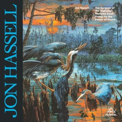 Afbeelding van Jon Hassell Surgeon of the Nightsky (LP)